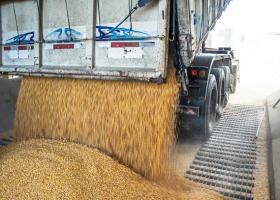 Ceny zbóż nie rekompensują kosztów produkcji