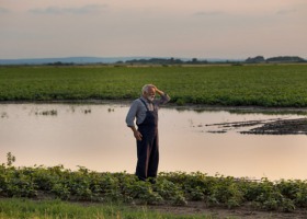 Gdzie zgłaszać szkody spowodowane silnymi opadami deszczu?