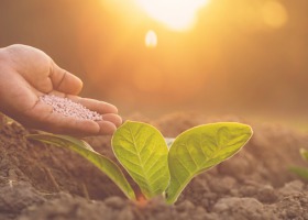 Segment Agro Grupy Azoty z nową koncepcją komunikacji