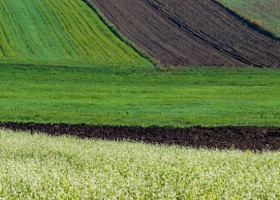 Tym różnią się pola w krajach UE - stosowanie nawozów i pestycydów