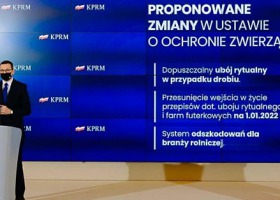 Proponowane zmiany w ustawie o ochronie zwierząt