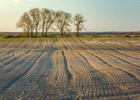Wójt potwierdza zawarcie umowy dzierżawy gruntów rolnych