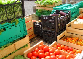 Nieuczciwe praktyki handlowe w łańcuchu dostaw żywności – wypełnij ankietę