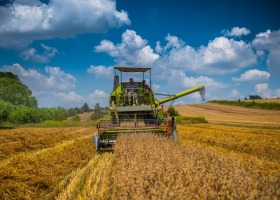 GUS podsumowuje rolniczy rok - więcej zbóż, rzepaku, warzyw i owoców