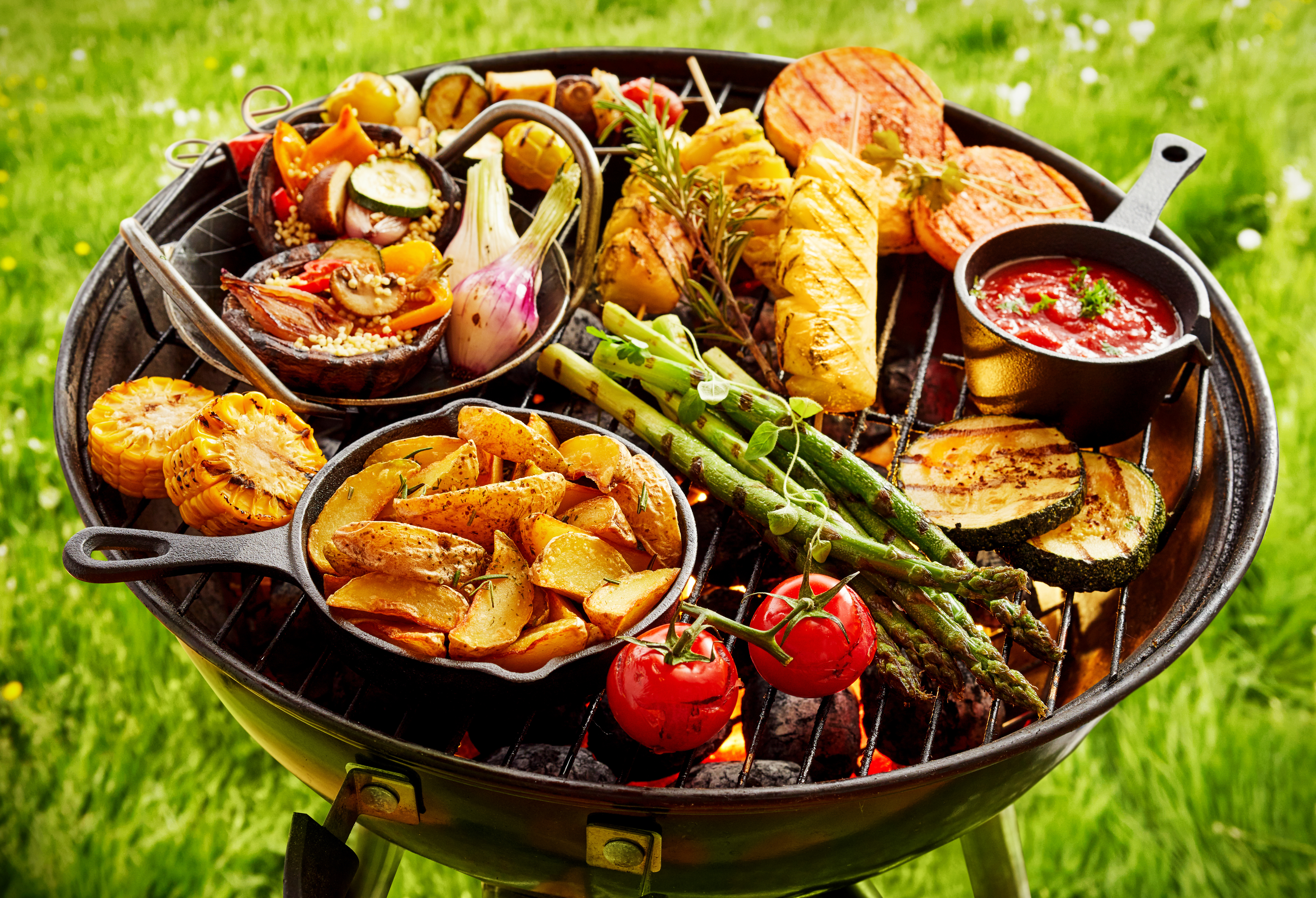 grill do ogrodu