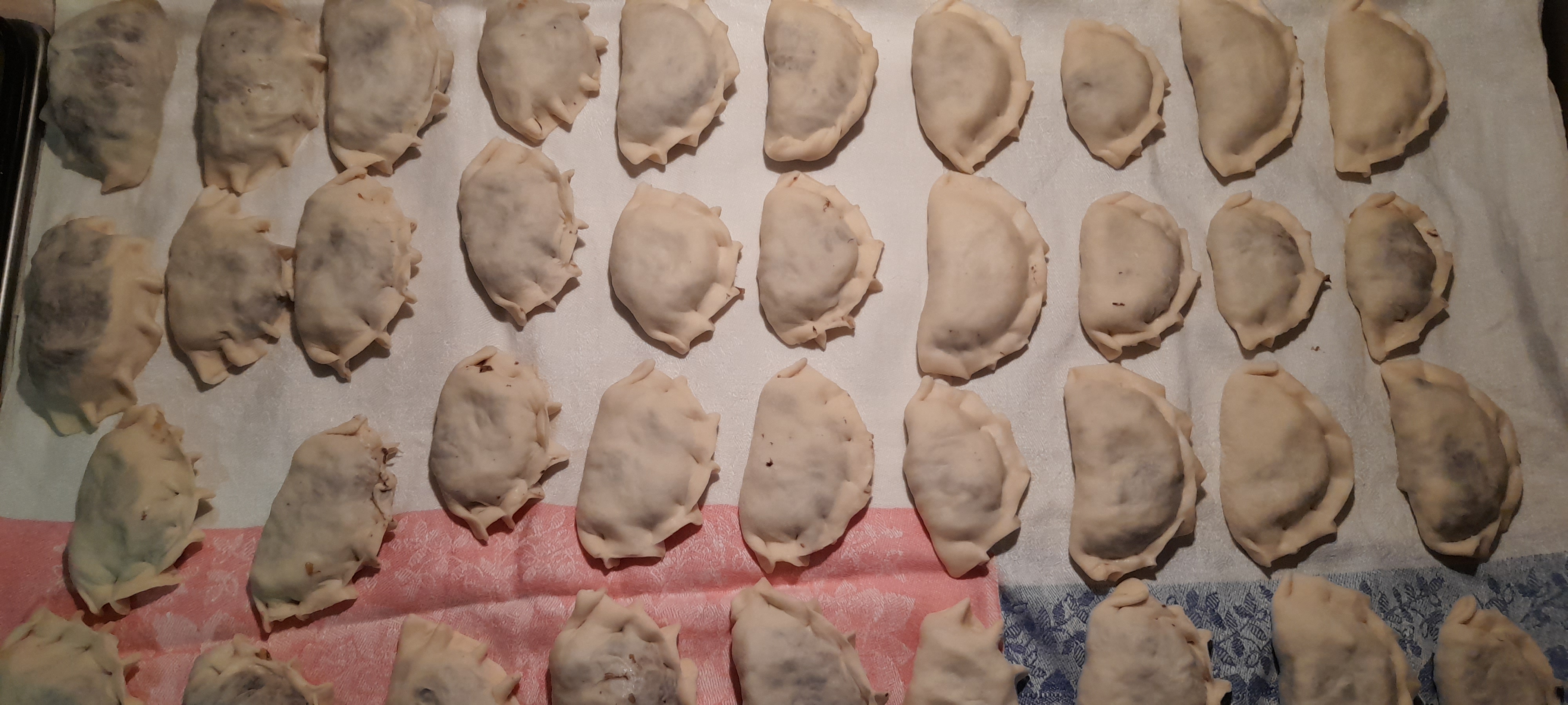 pierogi