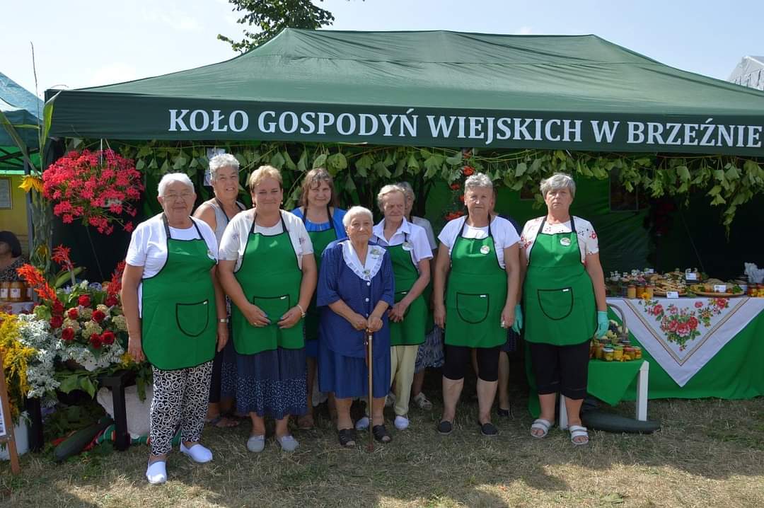 kgw w brzeżnie