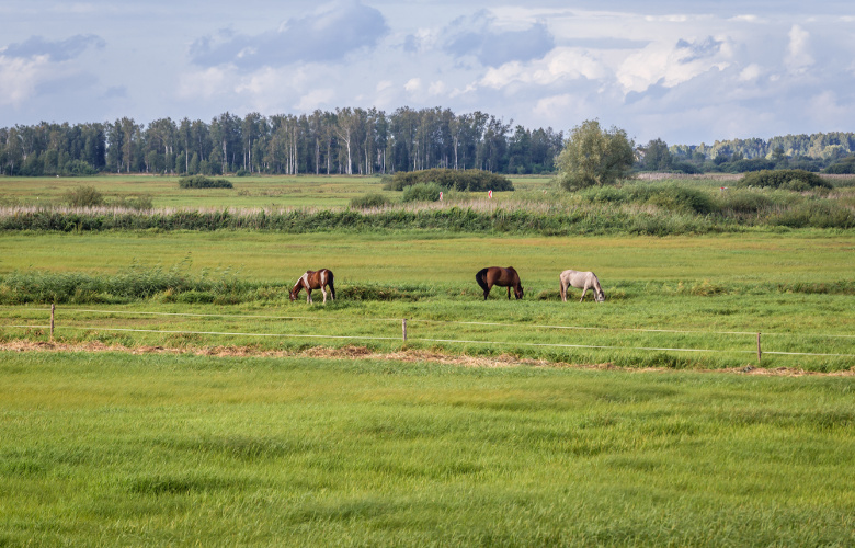 podlasie rolnictwo