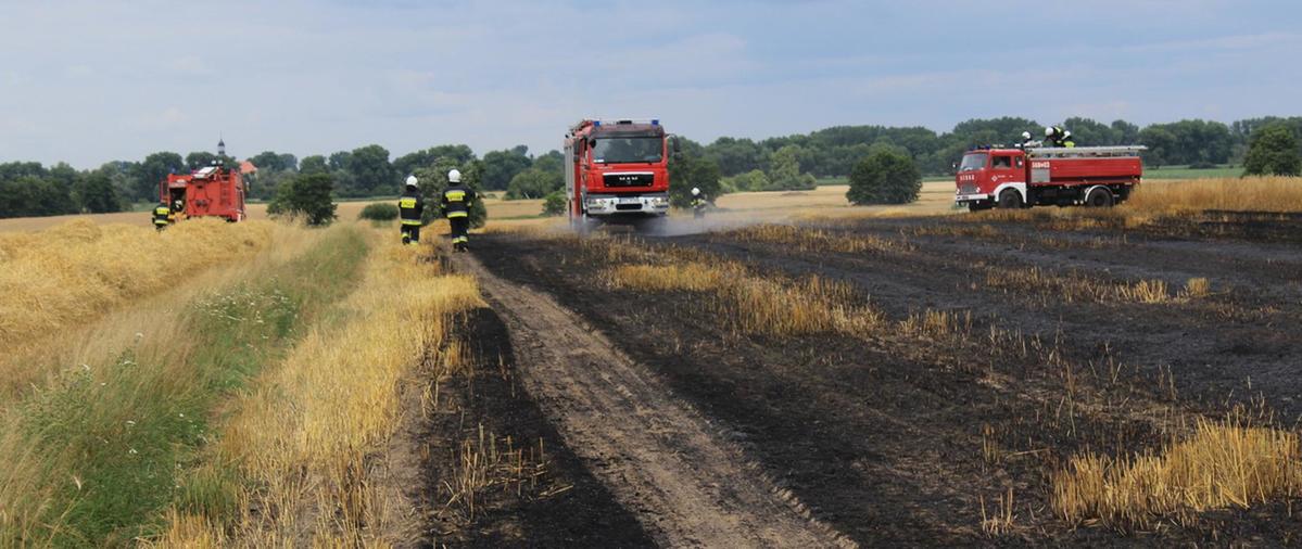 pożar zboża gostyń