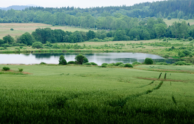 spółki wodne