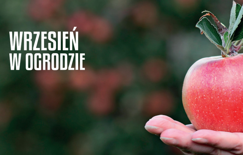 wrzesień w ogrodzie